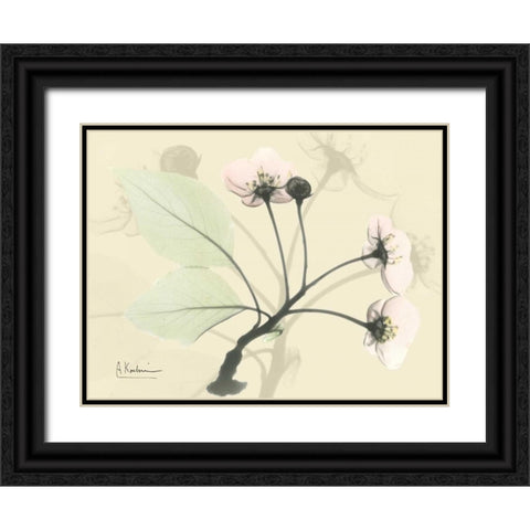 Wild Cherry on Beige Black Ornate Wood Framed Art Print with Double Matting by Koetsier, Albert