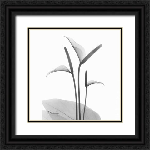 Flamingo Plant in BandW Black Ornate Wood Framed Art Print with Double Matting by Koetsier, Albert