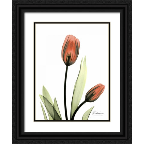 Red Tulips Black Ornate Wood Framed Art Print with Double Matting by Koetsier, Albert