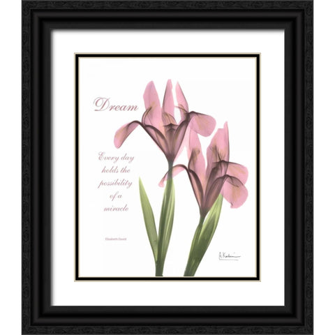 Pink Iris - Dream Black Ornate Wood Framed Art Print with Double Matting by Koetsier, Albert