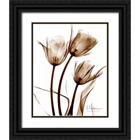 Tulip Arrangement in Brown Black Ornate Wood Framed Art Print with Double Matting by Koetsier, Albert