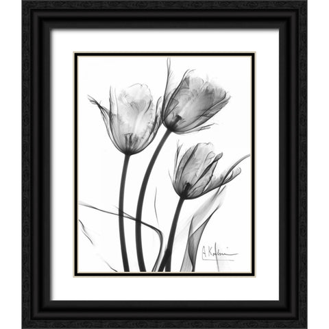 Tulip Arrangement in BandW Black Ornate Wood Framed Art Print with Double Matting by Koetsier, Albert