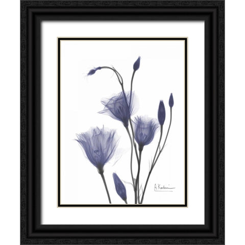 Gentian in Purple 2 Black Ornate Wood Framed Art Print with Double Matting by Koetsier, Albert