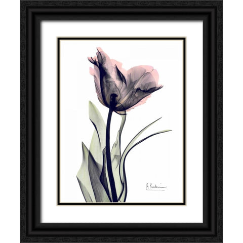 Single Tulip in Color Black Ornate Wood Framed Art Print with Double Matting by Koetsier, Albert