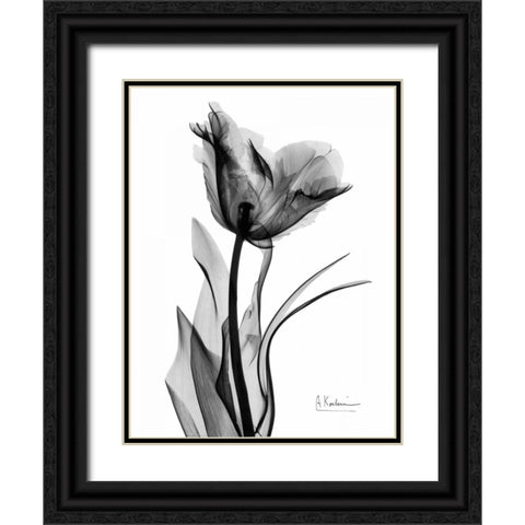 Single Tulip in BandW Black Ornate Wood Framed Art Print with Double Matting by Koetsier, Albert
