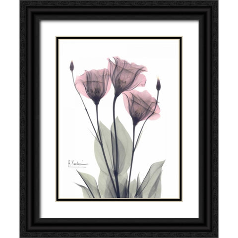 Three Gentian in Color Black Ornate Wood Framed Art Print with Double Matting by Koetsier, Albert