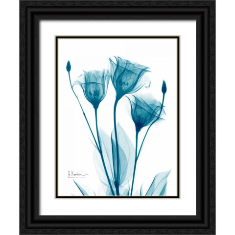 Three Gentian in Blue Black Ornate Wood Framed Art Print with Double Matting by Koetsier, Albert