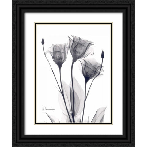 Three Gentian in BandW Black Ornate Wood Framed Art Print with Double Matting by Koetsier, Albert