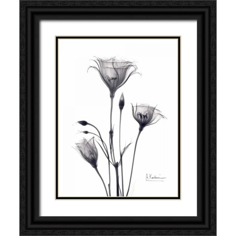 Bouquet of Gentian in BandW Black Ornate Wood Framed Art Print with Double Matting by Koetsier, Albert