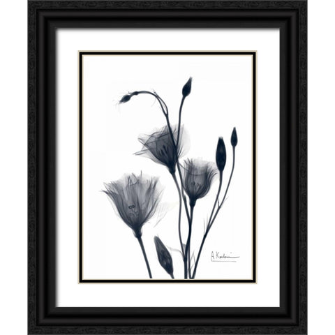 Bouquet of Gentian in BandW2 Black Ornate Wood Framed Art Print with Double Matting by Koetsier, Albert