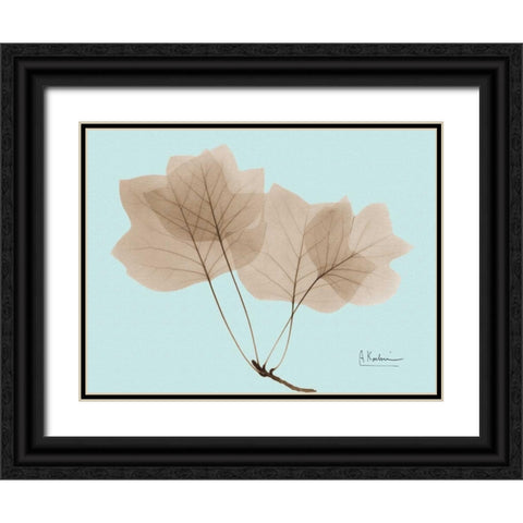 Tulip Tree in Brown on Blue Black Ornate Wood Framed Art Print with Double Matting by Koetsier, Albert