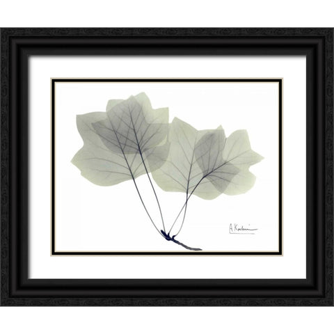 Tulip Tree in Green Black Ornate Wood Framed Art Print with Double Matting by Koetsier, Albert