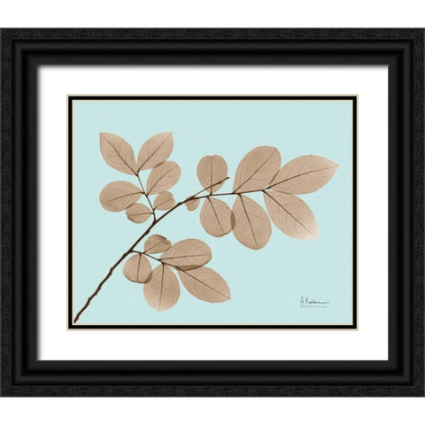 Myrtle Tree in Brown on Blue Black Ornate Wood Framed Art Print with Double Matting by Koetsier, Albert