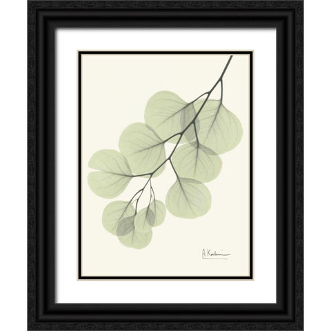 Eucalyptus Leaves in Green Black Ornate Wood Framed Art Print with Double Matting by Koetsier, Albert