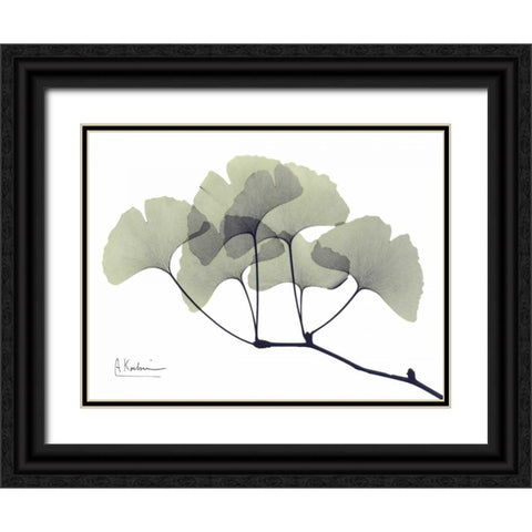 Gingko Leaves in Green Black Ornate Wood Framed Art Print with Double Matting by Koetsier, Albert