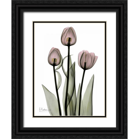 Early Tulips in Pink Black Ornate Wood Framed Art Print with Double Matting by Koetsier, Albert