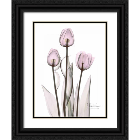 Early Tulips in Lavender Black Ornate Wood Framed Art Print with Double Matting by Koetsier, Albert