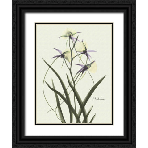 Orchids a Plenty in Purple on Beige Black Ornate Wood Framed Art Print with Double Matting by Koetsier, Albert