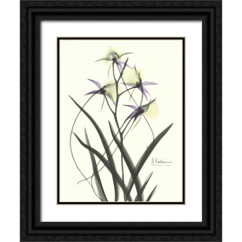 Orchids a Plenty in Purple and Yellow Black Ornate Wood Framed Art Print with Double Matting by Koetsier, Albert