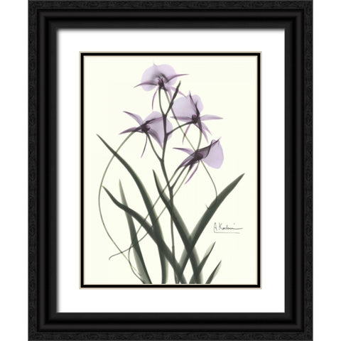 Orchids a Plenty in Purple Black Ornate Wood Framed Art Print with Double Matting by Koetsier, Albert