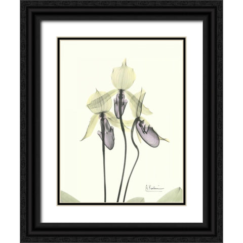 Lovely Orchids Black Ornate Wood Framed Art Print with Double Matting by Koetsier, Albert