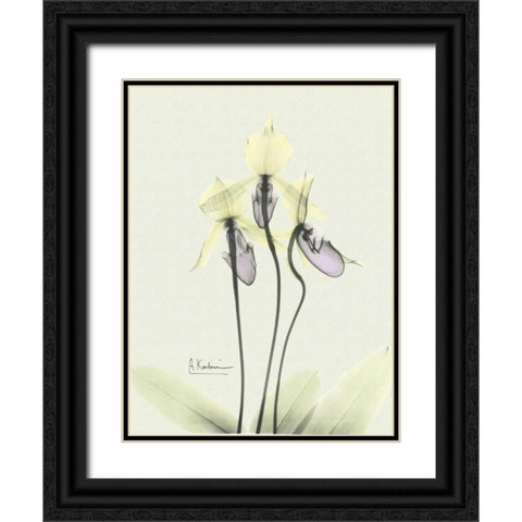 Lovely Orchids 3 Black Ornate Wood Framed Art Print with Double Matting by Koetsier, Albert