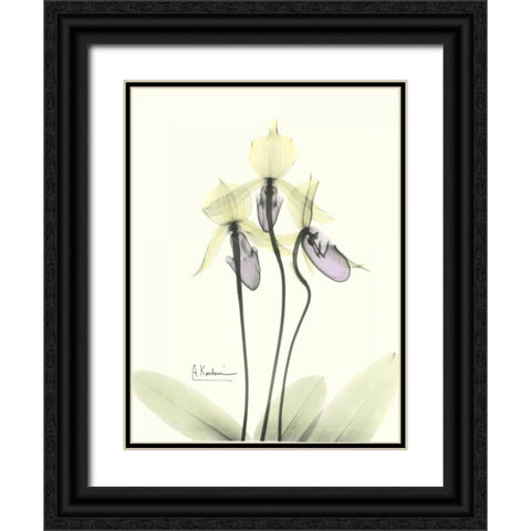 Lovely Orchids 2 Black Ornate Wood Framed Art Print with Double Matting by Koetsier, Albert