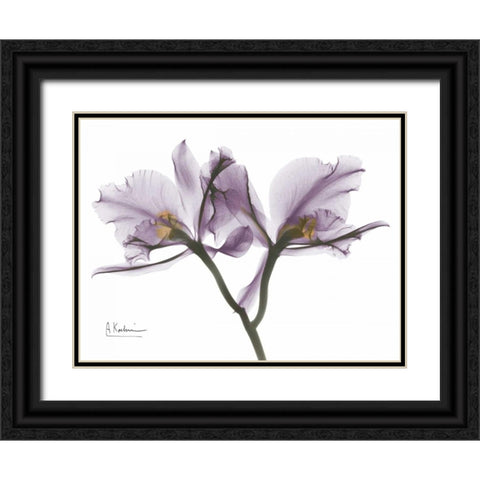 Beautiful Orchid in Purple 2 Black Ornate Wood Framed Art Print with Double Matting by Koetsier, Albert