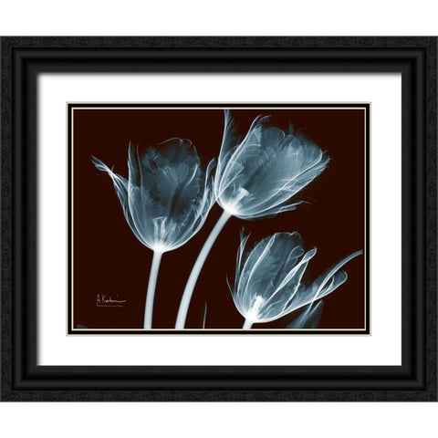 Tulips Blue on Red Black Ornate Wood Framed Art Print with Double Matting by Koetsier, Albert