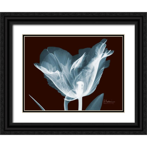 Single Tulip Blue on Red Black Ornate Wood Framed Art Print with Double Matting by Koetsier, Albert