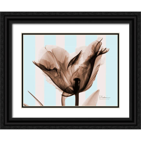 Single Tulip Brown on Blue Black Ornate Wood Framed Art Print with Double Matting by Koetsier, Albert