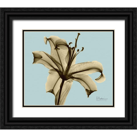 Single Lily Brown on Blue Black Ornate Wood Framed Art Print with Double Matting by Koetsier, Albert