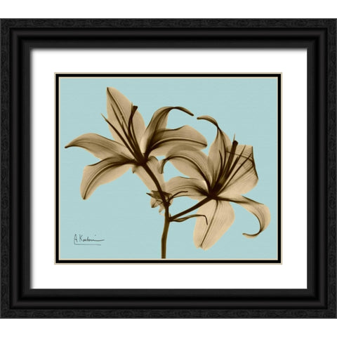 Double Lilies Brown on Blue Black Ornate Wood Framed Art Print with Double Matting by Koetsier, Albert