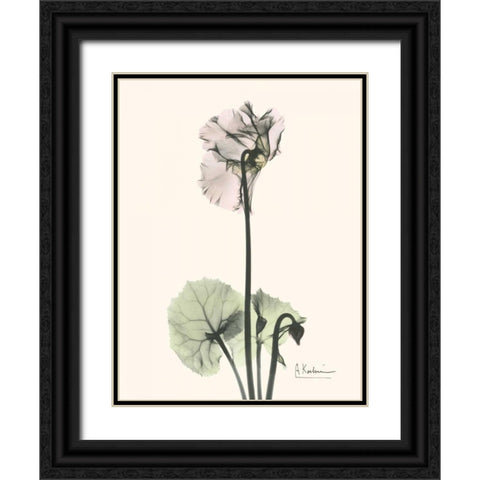 Single Cyclamen Black Ornate Wood Framed Art Print with Double Matting by Koetsier, Albert