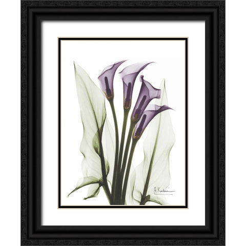 Calla Lily Quad in Color Black Ornate Wood Framed Art Print with Double Matting by Koetsier, Albert