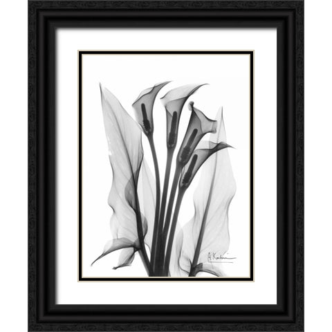 Calla Lily Quad in BandW Black Ornate Wood Framed Art Print with Double Matting by Koetsier, Albert