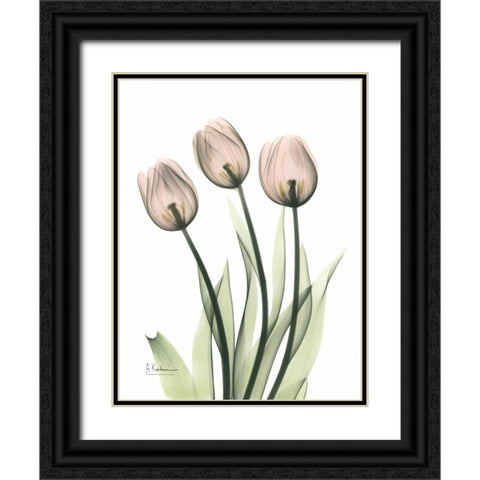 Three Pale Pink Tulips Black Ornate Wood Framed Art Print with Double Matting by Koetsier, Albert