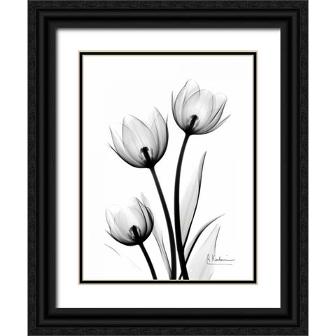 Tulips High Contrast Black Ornate Wood Framed Art Print with Double Matting by Koetsier, Albert