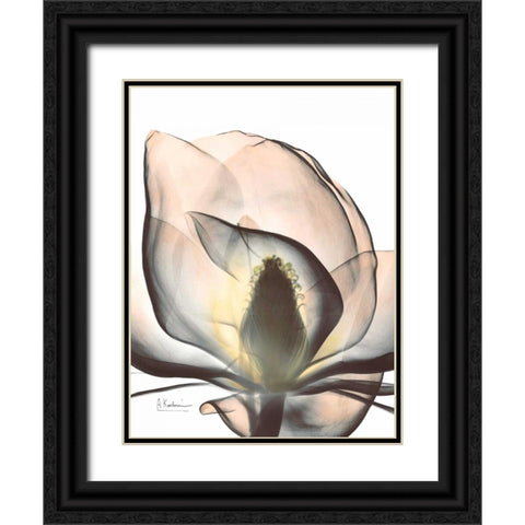 Magnolia Close Up Black Ornate Wood Framed Art Print with Double Matting by Koetsier, Albert