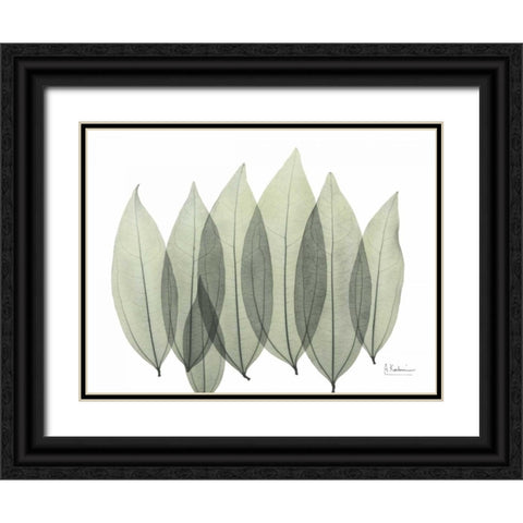 Coculus Leaf In Green Black Ornate Wood Framed Art Print with Double Matting by Koetsier, Albert