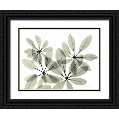 Scheffleur in Green Black Ornate Wood Framed Art Print with Double Matting by Koetsier, Albert