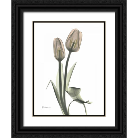 Tulip - Marjorie Black Ornate Wood Framed Art Print with Double Matting by Koetsier, Albert