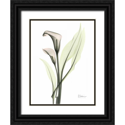 Calla - Marjorie Black Ornate Wood Framed Art Print with Double Matting by Koetsier, Albert