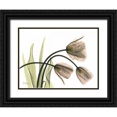 Tulips in the Wild Black Ornate Wood Framed Art Print with Double Matting by Koetsier, Albert