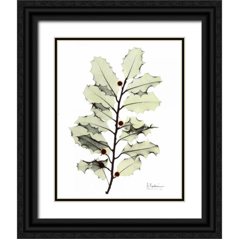 Holly in Green Black Ornate Wood Framed Art Print with Double Matting by Koetsier, Albert