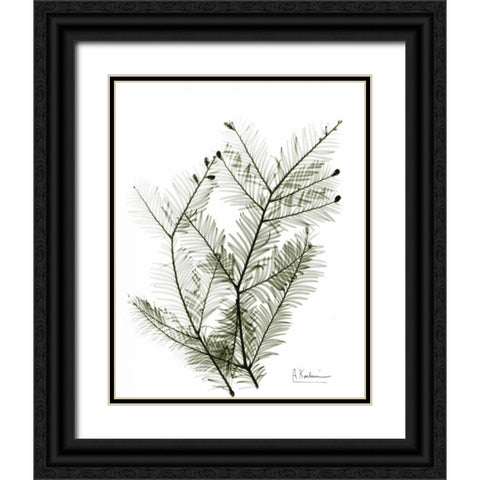 Evergreen in Green Black Ornate Wood Framed Art Print with Double Matting by Koetsier, Albert