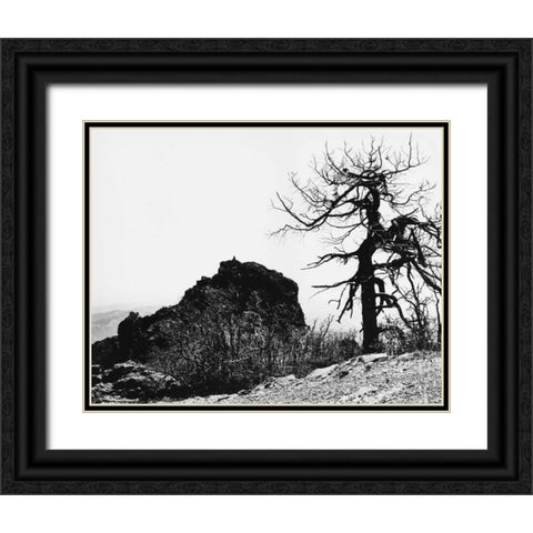 Bodi Kid Lookout Black Ornate Wood Framed Art Print with Double Matting by Koetsier, Albert