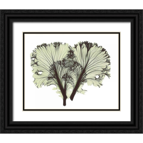 Kale in Green Black Ornate Wood Framed Art Print with Double Matting by Koetsier, Albert