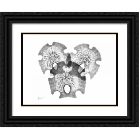 Triple Stars Black Ornate Wood Framed Art Print with Double Matting by Koetsier, Albert