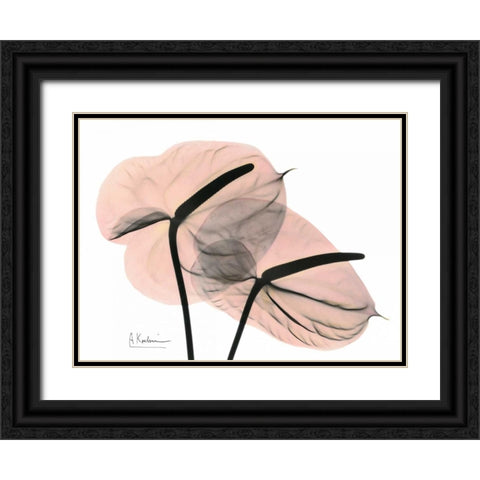 Pink Anthurium Black Ornate Wood Framed Art Print with Double Matting by Koetsier, Albert